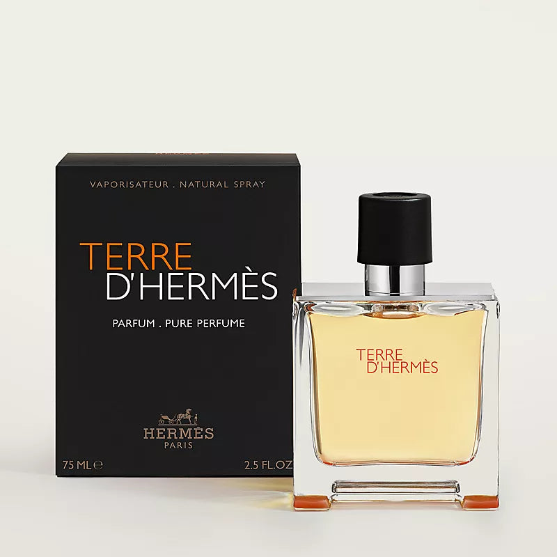 Terre d'Hermès Eau de Toilette - 100 ML